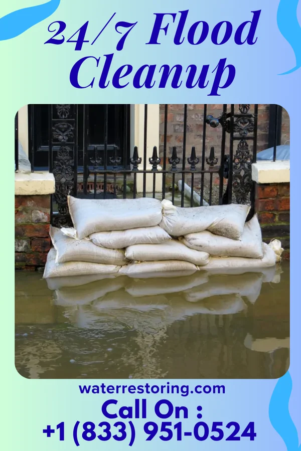 24/7 Flood Cleanup in Tangelo Park, FL
