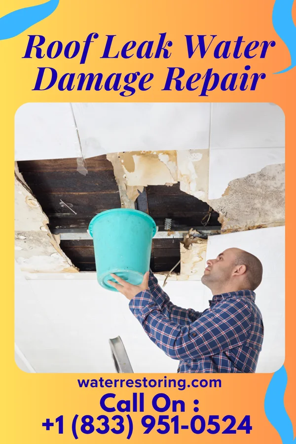 Roof Leak Water Damage Repair in Tangelo Park, FL